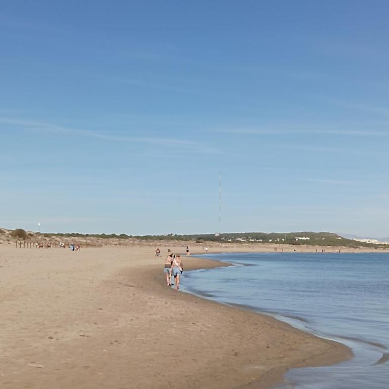 Bonito Apartamento 150 m de la playa La Mata - Apartamento de 1 dormitorio - 31
