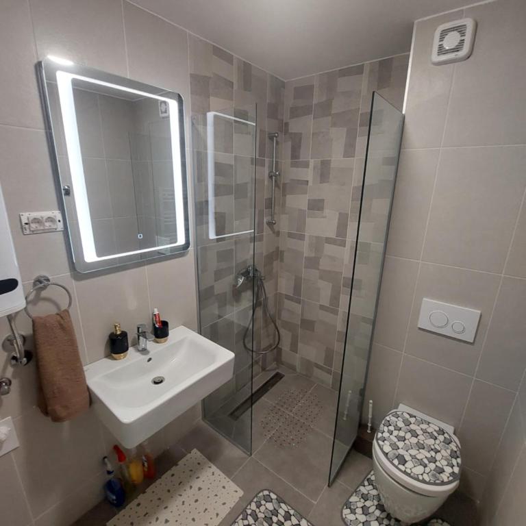 DivčiNova B7 Jovanovic - Apartman sa 1 Spavaćom Sobom - 25