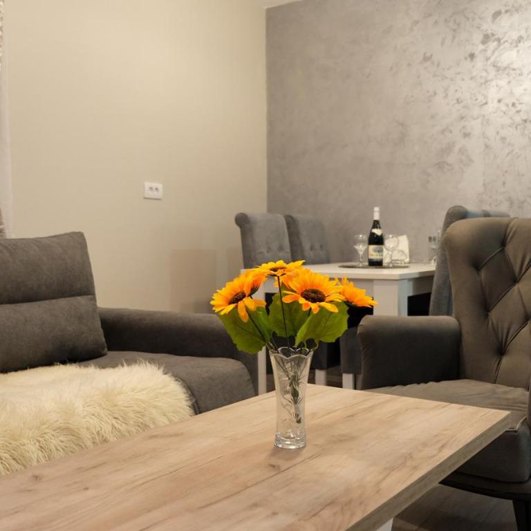 Villa Zagorka and mountain houses A, M, D - Apartment - Ground Floor - 7