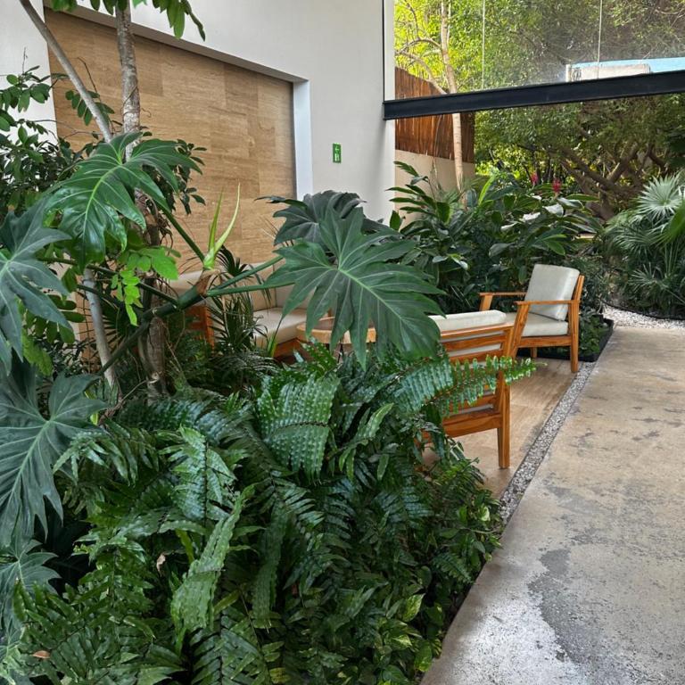 Paseo Luxury House - Two-Bedroom Apartment - 48