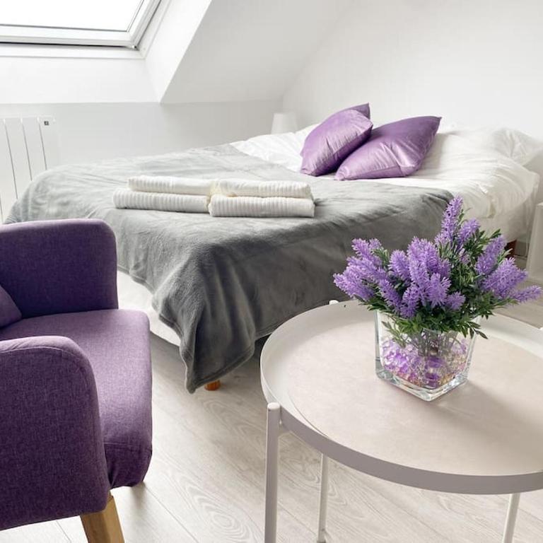 Esprit Violet - Joli Studio Salengro - Sauna & Sport club - Apartment mit 1 Schlafzimmer - 1