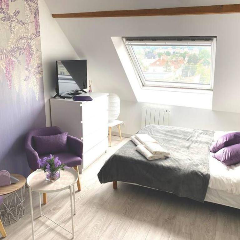 Esprit Violet - Joli Studio Salengro - Sauna & Sport club - Apartment mit 1 Schlafzimmer - 4