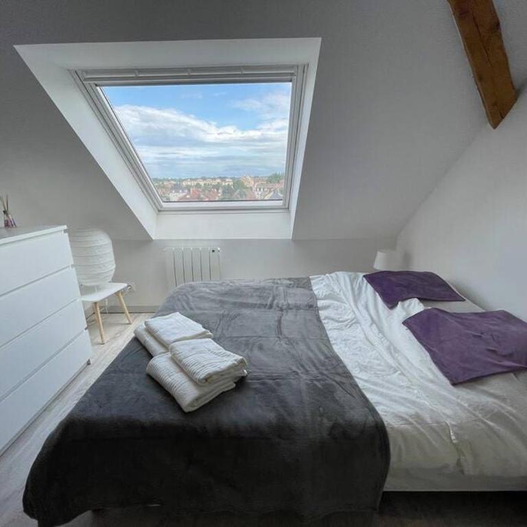 Esprit Violet - Joli Studio Salengro - Sauna & Sport club - Apartment mit 1 Schlafzimmer - 13