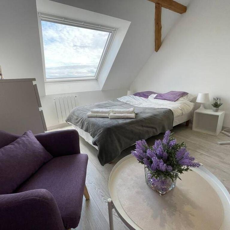 Esprit Violet - Joli Studio Salengro - Sauna & Sport club - Apartment mit 1 Schlafzimmer - 3