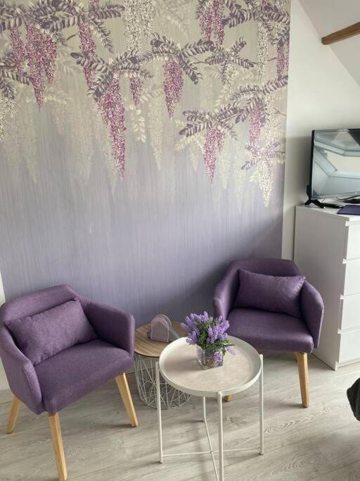 Esprit Violet - Joli Studio Salengro - Sauna & Sport club - Apartment mit 1 Schlafzimmer - 16