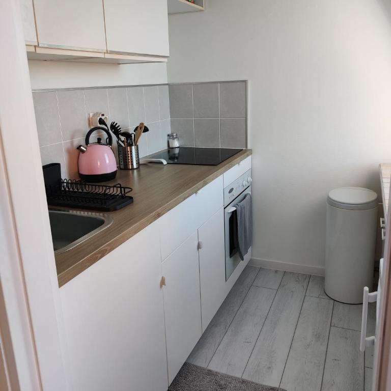 Bel appartement refait à neuf, calme et ensoleillé - Apartamento de 1 dormitorio - 13