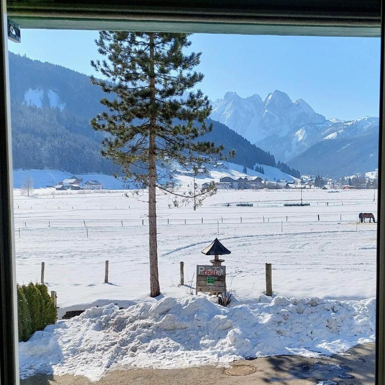 Appartement Twin Peak Edelweiss - Apartment mit Blick auf die Berge - 4