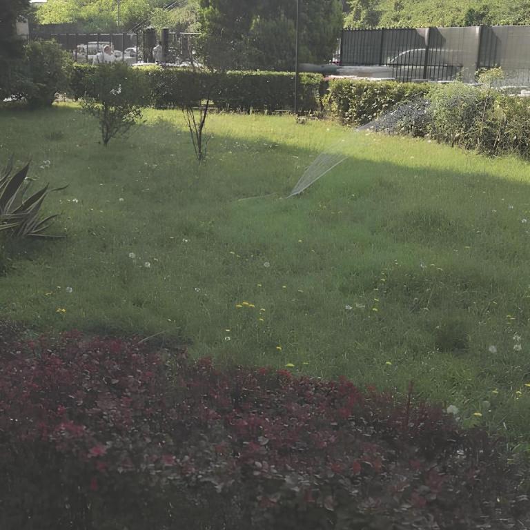 Ci vediamo da Mario - Appartamento con 1 Camera da Letto - 18