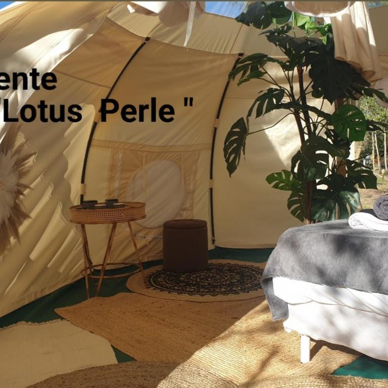 Le Jeklo - Tente - 8
