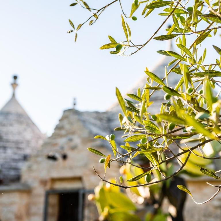 Sopra i Sassi - Villa & Trulli - Superior Villa - 40