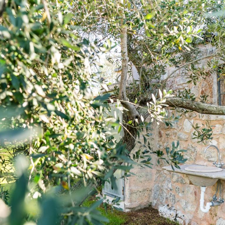 Sopra i Sassi - Villa & Trulli - Superior Villa - 42