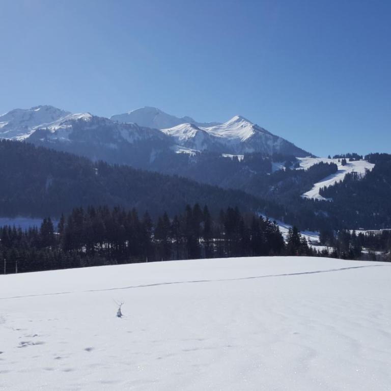 Appartement Seebacher - Apartamento Estudio (2 adultos) - 37