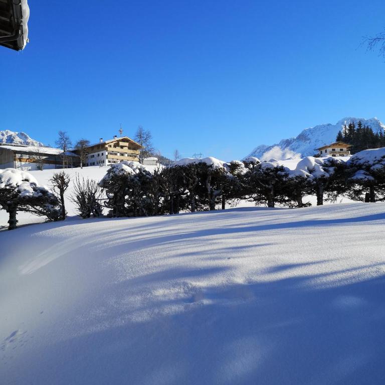 Appartement Seebacher - Apartamento Estudio (2 adultos) - 39