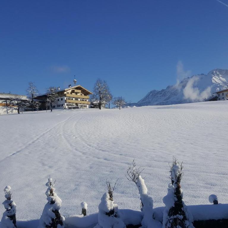 Appartement Seebacher - Apartamento Estudio (2 adultos) - 49