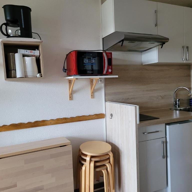 Lumineux studio vue montagne cote 2000 - Studio with Mountain View - 3