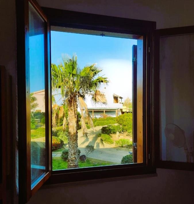 Residenza Grecale, con veranda, in zona residenziale tranquilla, a due passi dal paese - Casa con 2 Camere da Letto - 28