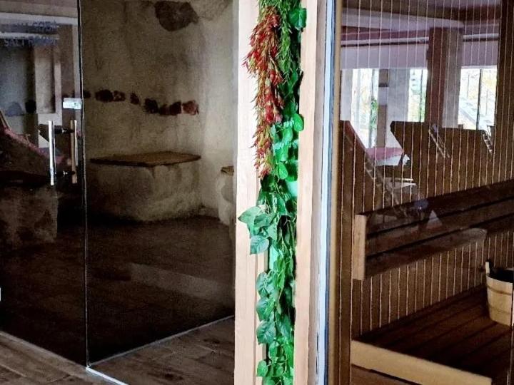 RELAX MILMARI-kopaonik - One-Bedroom Apartment - 19