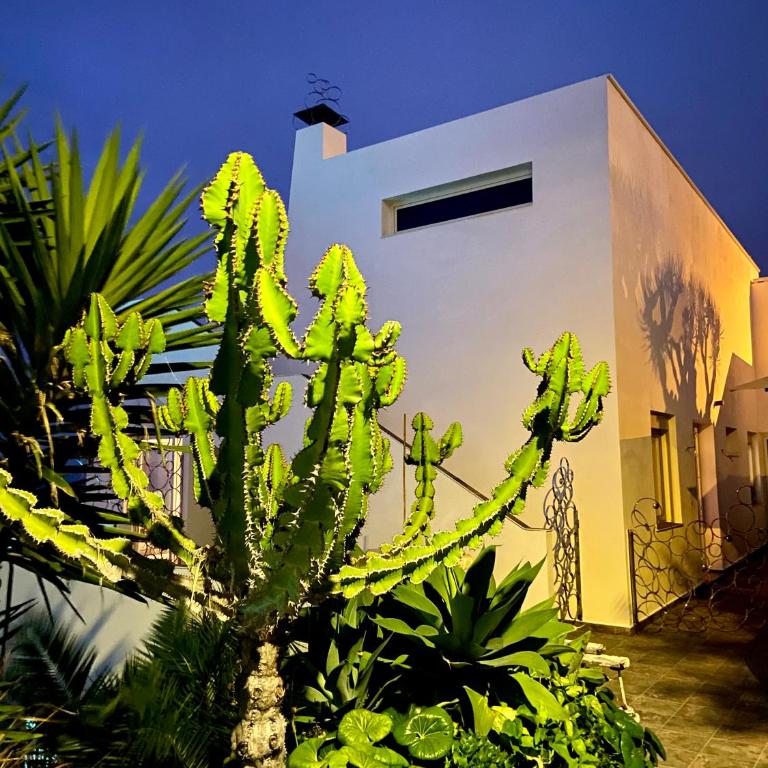 Villa Oasis La Paz - Pelinor Studio - ADULTS ONLY - Apartamento de 1 dormitorio - 40