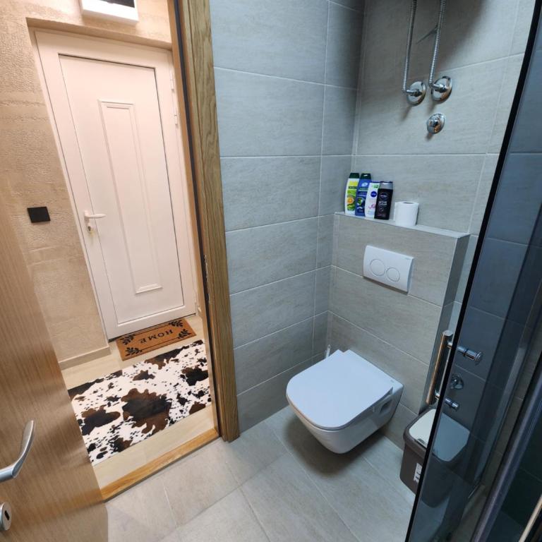 Ebra 76 Kraljevi Cardaci Kopaonik - Two-Bedroom Apartment - 10