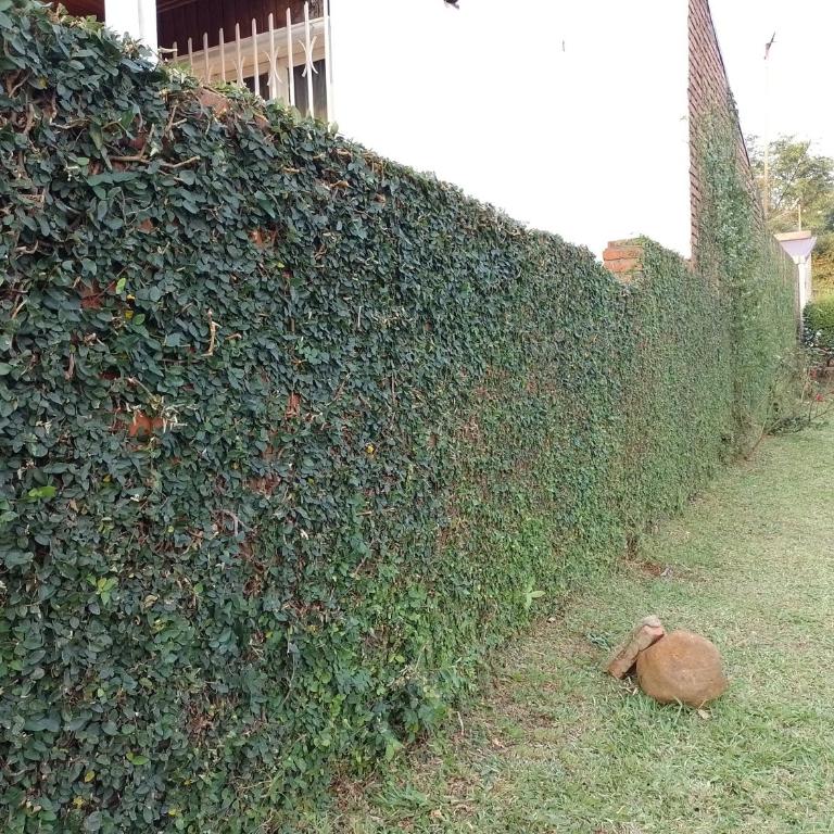 La esquina - Casa de 3 dormitorios - 14