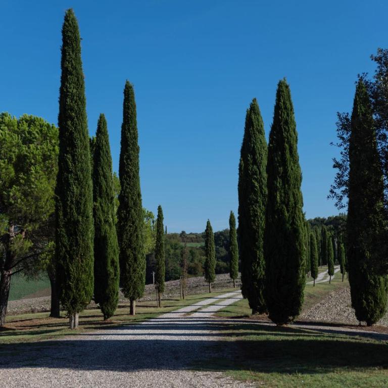 Villa Cucule - Villa - 58