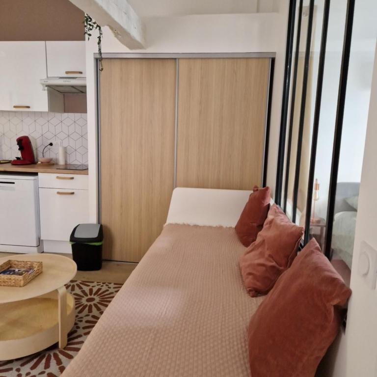 CHAL2 Hyper-centre T2 confort et calme - Appartamento con 1 Camera da Letto - 8