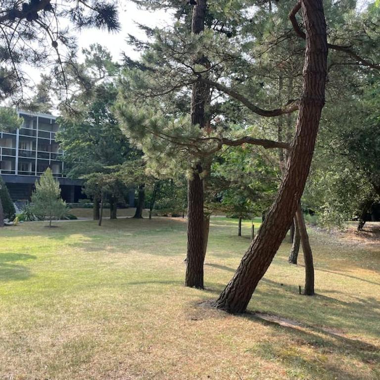 Vue mer : La Canopée à La Baule - Apartamento de 3 dormitorios - 23
