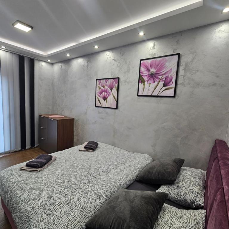 Apartmani Mandić Divčibare - Apartman sa 1 Spavaćom Sobom - 3