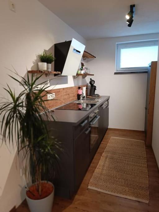 Altholzapartment in Kempten - Apartment mit 1 Schlafzimmer - 17