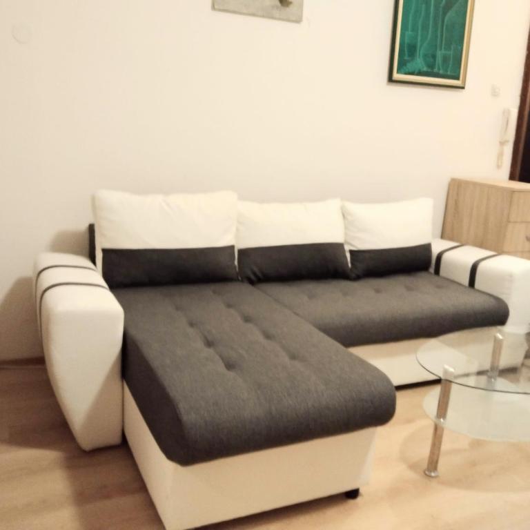 Sava Temple Apartment - Apartman sa 1 Spavaćom Sobom - 5