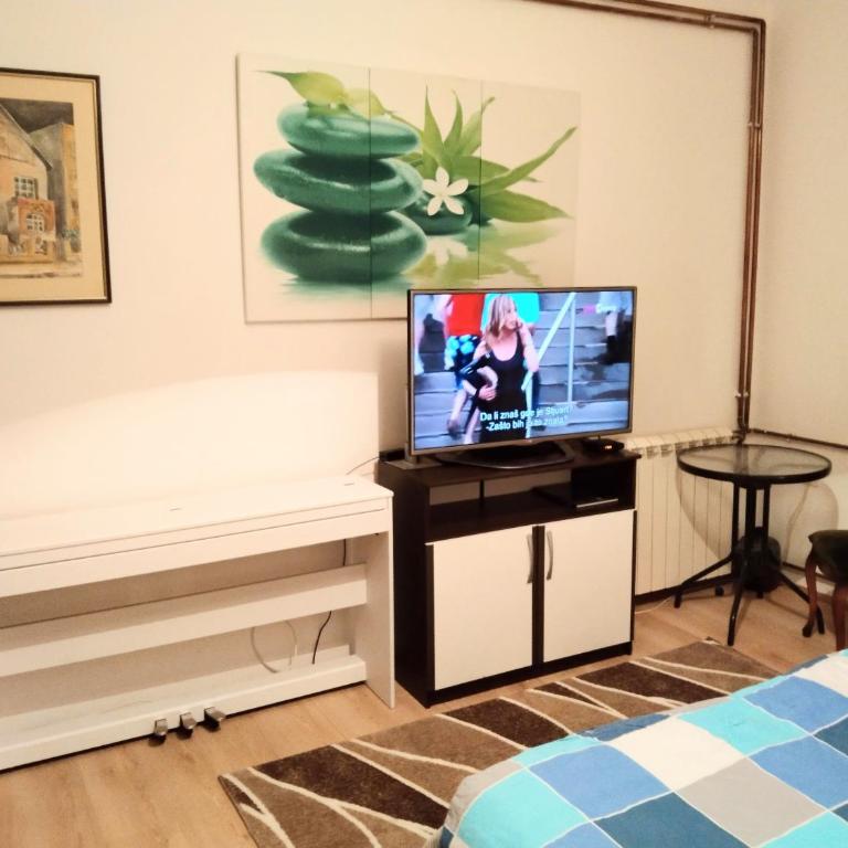 Sava Temple Apartment - Apartman sa 1 Spavaćom Sobom - 1