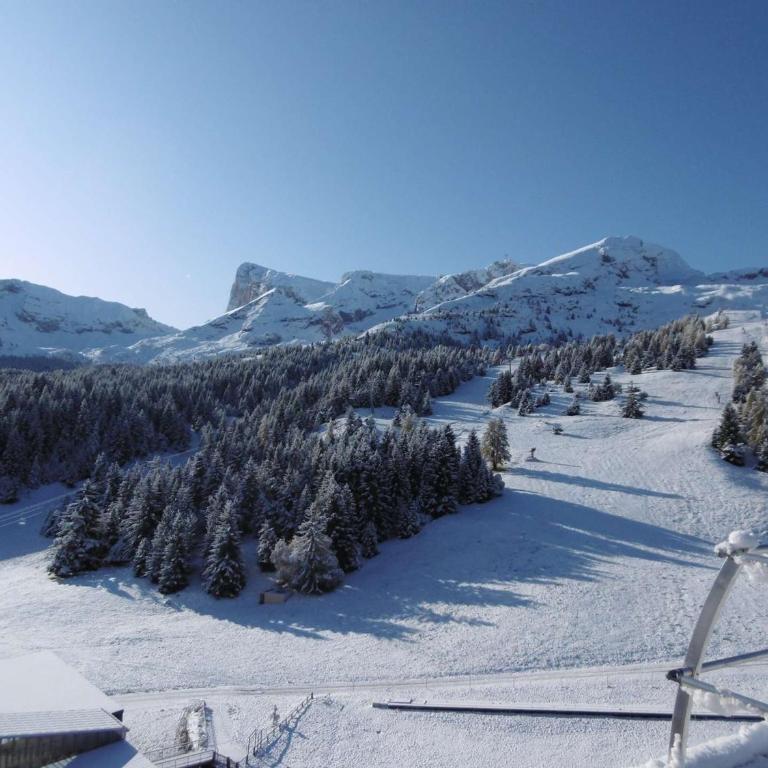 Studio chaleureux - 4 pers, proche pistes, Wifi, parking, animaux acceptés - FR-1-525-269 - Appartamento - 12