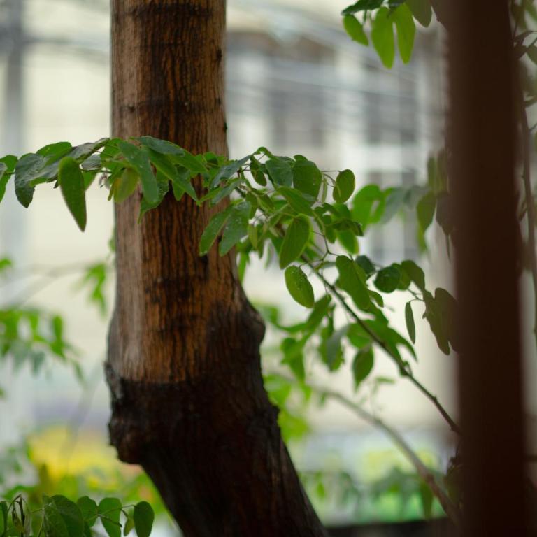 La Casa Del Puerto, Hostal cultural, Cerro Alegre - Habitación Cuádruple con baño privado - 12