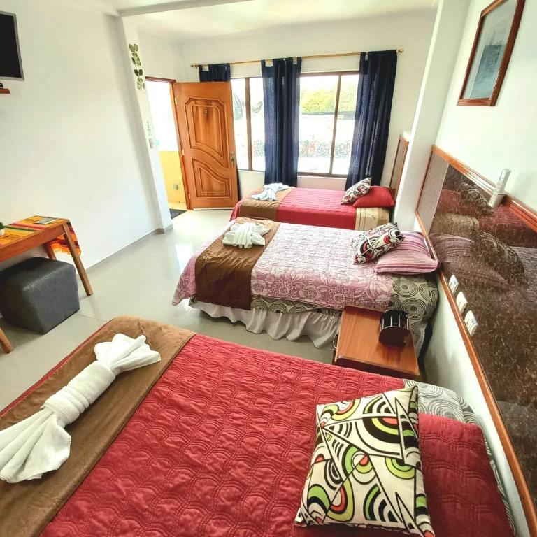 Galápagos Eco Friendly - Habitación Triple - 5