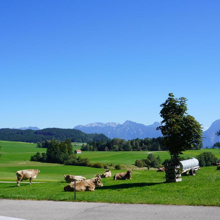 Ferienwohnung Linder - Apartment mit Blick auf die Berge - 23