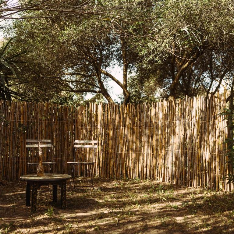 La Veleta Cádiz - Tent (Almadraba) - 16