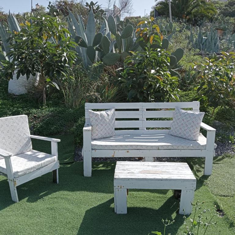 Casa Carmelita - Apartamento de 2 dormitorios - 26