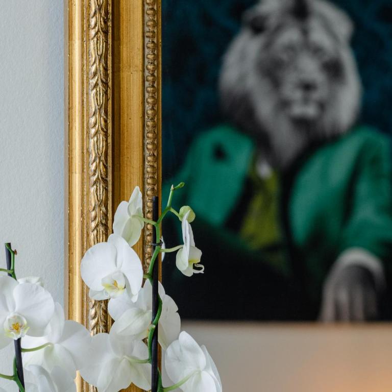Au roi lion, place Saint Michel - Appartement 1 Chambre - 27