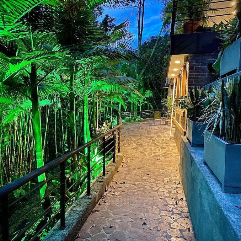 Satori Home In San Lucas - Vacation Home - 50