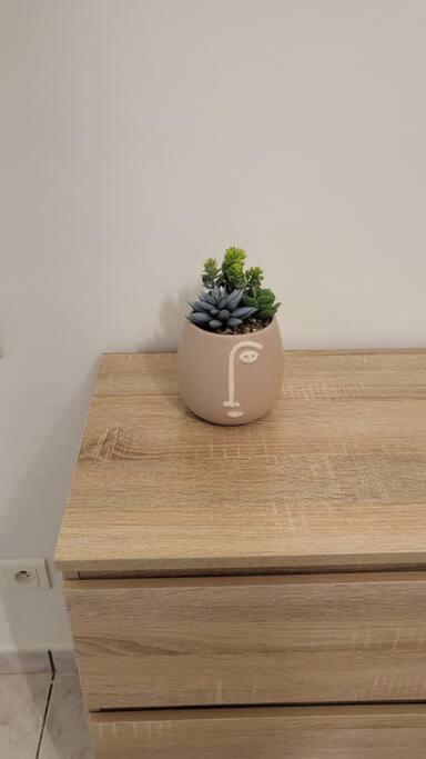 Appartement chaleureux, proche de la gare - Apartment mit 2 Schlafzimmern - 16