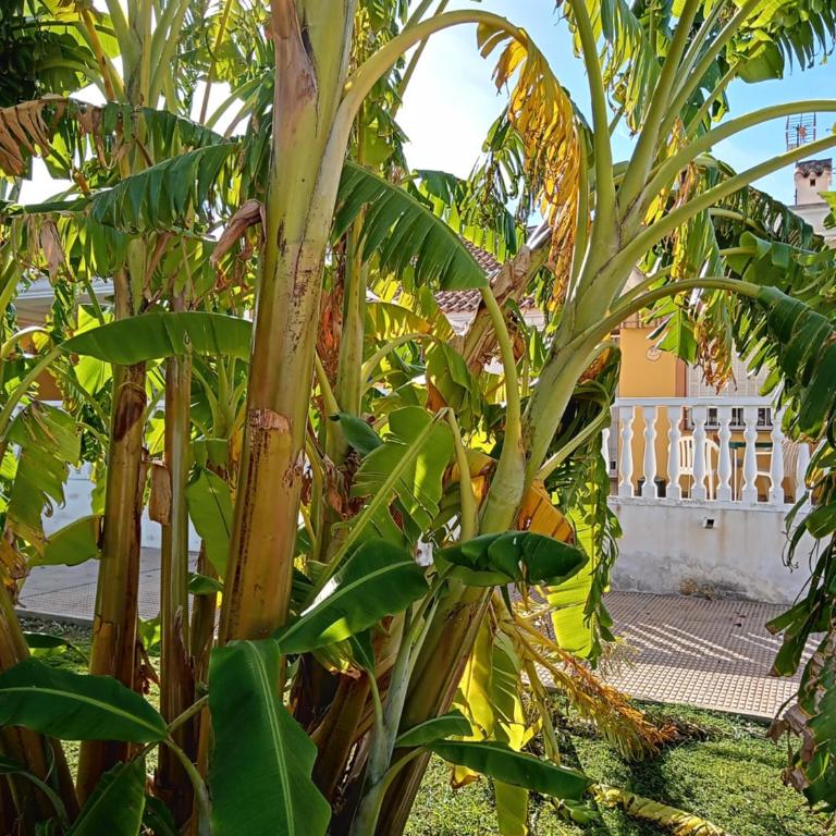 El paraíso del sol - Casa de 2 dormitorios - 26