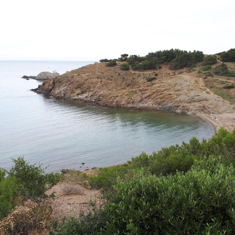 Apartamento Espacioso en Llançà Cerca de la Playa con Terraza y Acepta Mascotas - ES-170-39 - Apartamento - 8