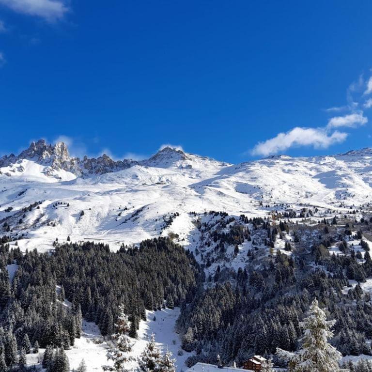 Méribel Mottaret - Appartement 3 chambres, 6 pers, parking, terrasse, skis aux pieds - FR-1-613-105 - Appartamento - 5