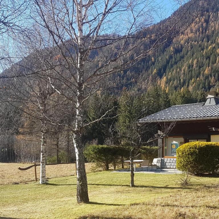 chalet l'ilet ensoleillé /Sunny Island Chalet - Chalet de 2 dormitorios - 5