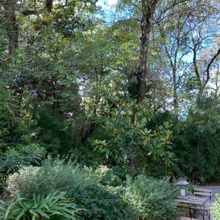Luxury Home Sweet Home Mougins - Villa 1 Chambre - 12