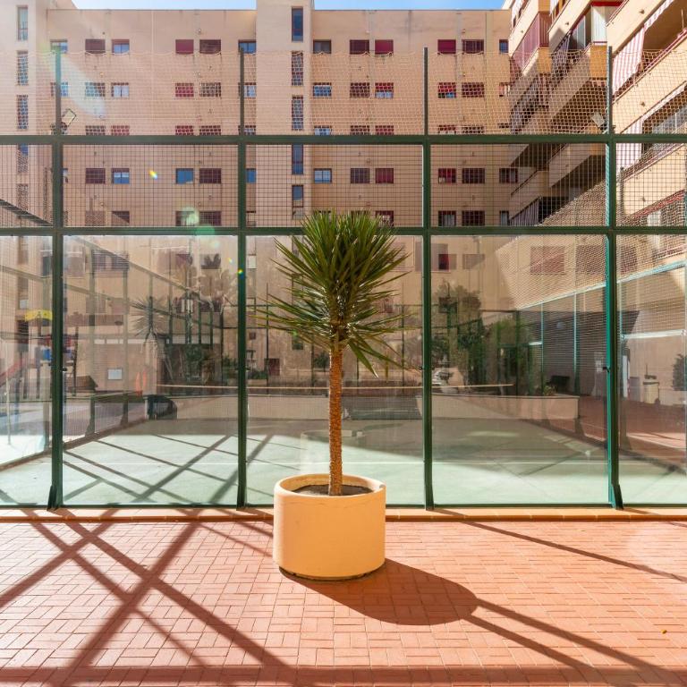 Ubicación Perfecta Apartamento Luxury Beach - Apartamento de 3 dormitorios - 39