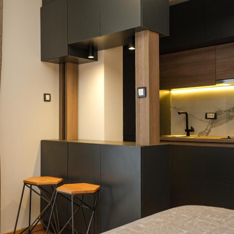 Vila Golija - One-Bedroom Apartment - 2