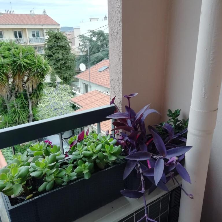 '' Sète à Vous'' - Appartement 1 Chambre - 13
