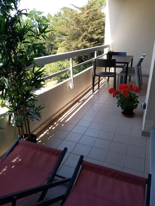 Un nid dans les pins La Baule - One-Bedroom Apartment - 6
