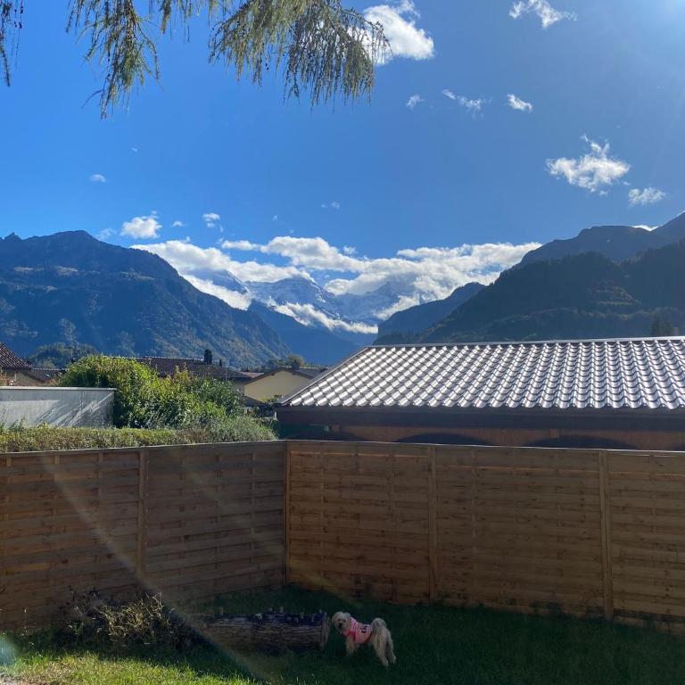 Unique Tiny Eco Lodges with gorgeous views to Jungfrau Massiv - One-Bedroom House - 26